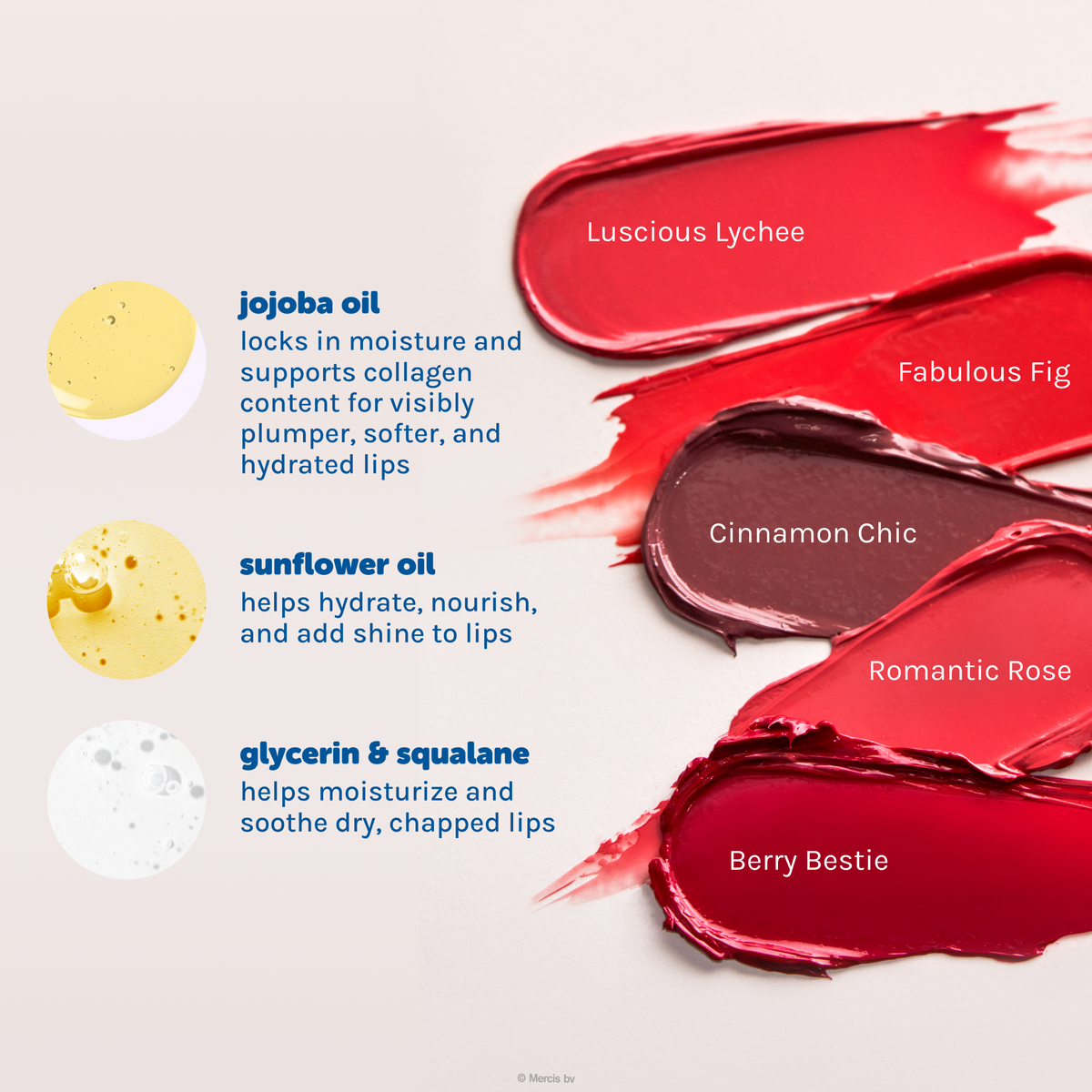 Miffy Glossy Lip Stain — five labeled lip stain swatches with jojoba oil, sunflower oil, glycerin and squalane information